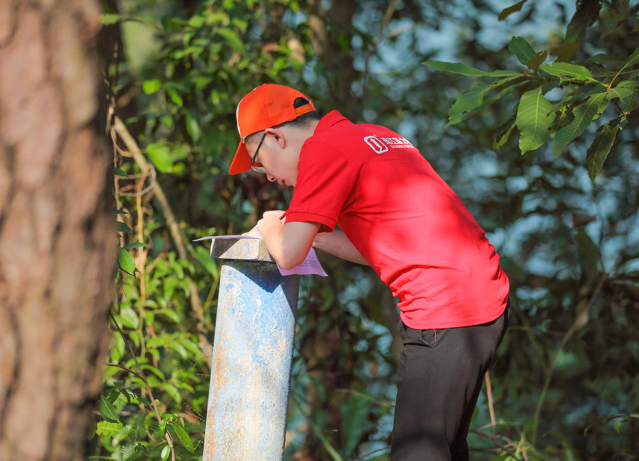 IMG_9546.jpg IMG_9546.jpg